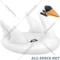 INTEX InflÃ¡vel Raft «Intex» Swan Ride-On, 57557